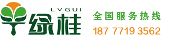 ڳW(wng)
